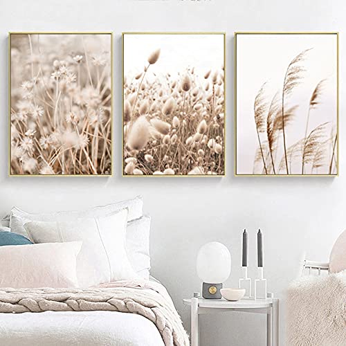 SWECOMZE Juego de pósteres, 3 cuadros decorativos de pared, con moderno diseño de hierba de las pampas beige, para salón, dormitorio, pasillo, póster de pared, sin marco (C,40 x 50 cm)