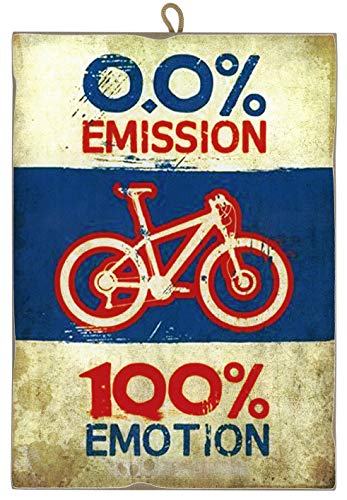 Cuadro de Estilo Vintage con Imagen de Bicicleta Ecológica de Colección Impresión Láser Sobre Madera – Idea Regalo