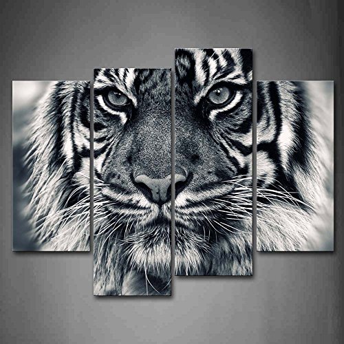 First Wall Art Cuadro de Pared con diseño de Tigre Blanco y Negro con Ojos Mirando y Barba, impresión de imágenes sobre Lienzo, Animales, la Imagen para